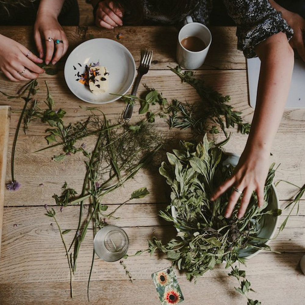 Taking a proactive approach to wellness with herbal medicine