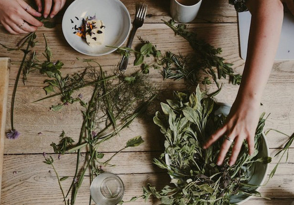 Taking a proactive approach to wellness with herbal medicine