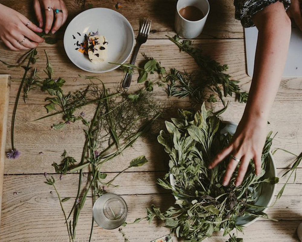 Taking a proactive approach to wellness with herbal medicine
